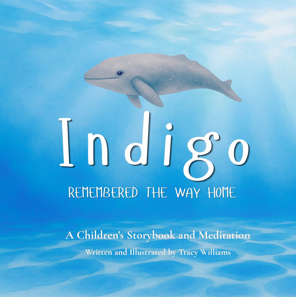 Indigo Remembered the Way Home, book cover